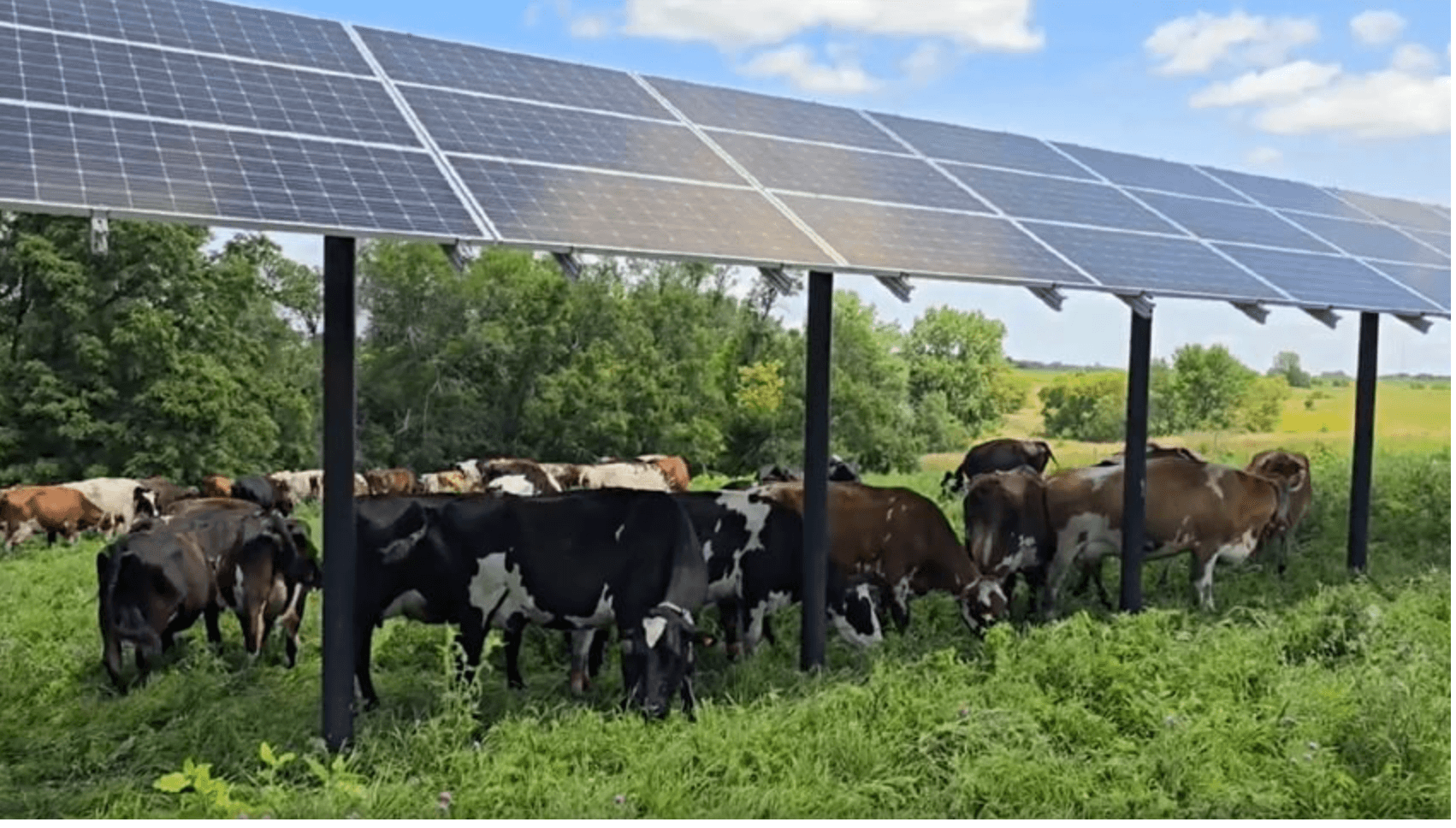 Agrivoltaics project overview